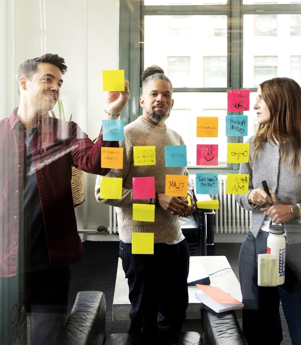 Team members at work