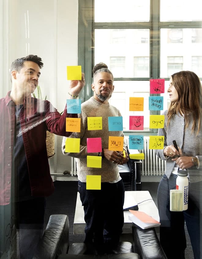 Team members at work