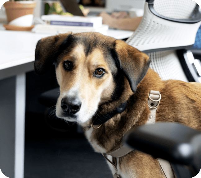 Career life at Havas - Image 3